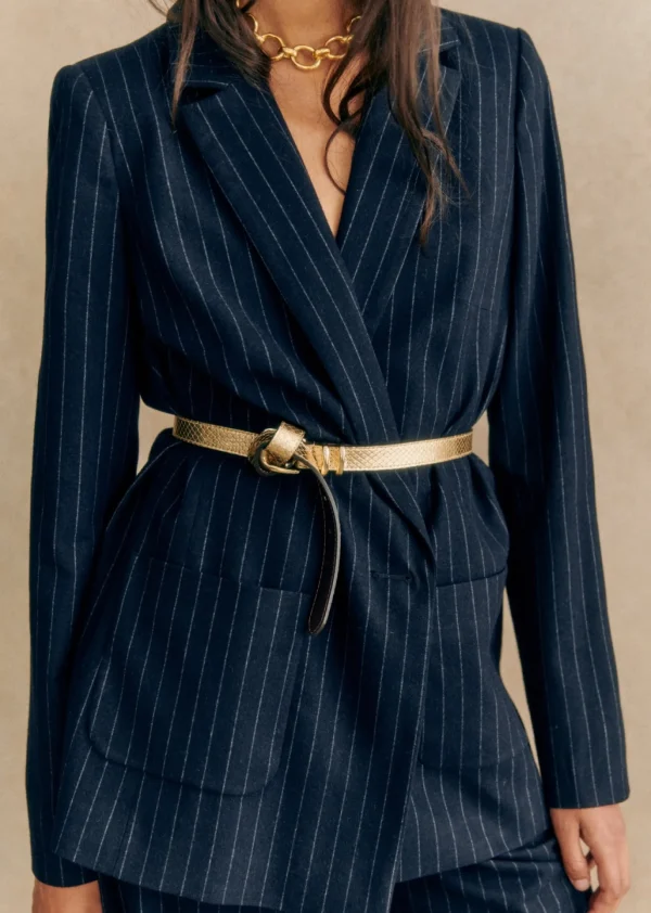 Veste Romane